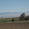 IMG_2913
